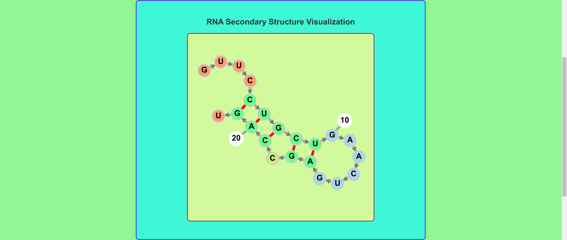 RNA Secondary Structure